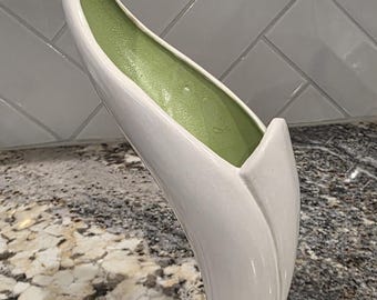 Beautiful Bird of Paradise Vase