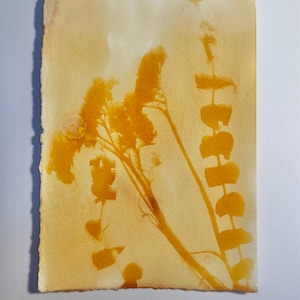 Puede incluir: Una pieza rectangular de papel texturizado con una impresión botánica de color amarillo dorado. La imagen muestra las siluetas de dos tallos de plantas distintos con hojas y pequeños racimos de flores, en tonos ámbar y ocre.