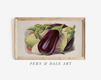 Samsung Frame TV Art Illustrated Eggplants Aubergines