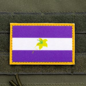 Pluralian LGBT flag hook and loop patch