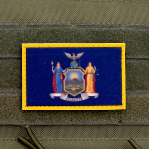 May include: A rectangular patch displaying the New York state seal, with a dark blue field and a yellow border. The seal shows two figures, an eagle, and a banner. The patch is attached to a green fabric.