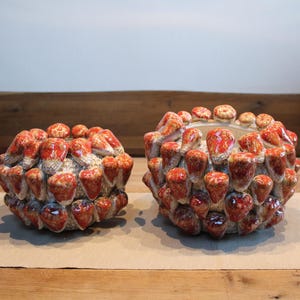 Könnte beinhalten: Zwei dekorative Keramikschalen mit strukturierter Oberfläche. Die Schalen sind mit roten und orangen kegelförmigen Elementen bedeckt, die ein einzigartiges, organisches Aussehen erzeugen. Die Schalen stehen auf einer hellbraunen Oberfläche.