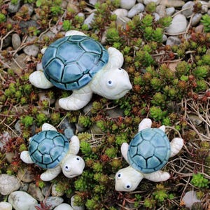 Könnte beinhalten: Drei Keramik-Schildkrötenfiguren mit blauen Panzern und weißen Körpern liegen auf einem Bett aus grünen und braunen Pflanzen und kleinen Steinen. Die Schildkröten sind unterschiedlich groß, die größte oben.