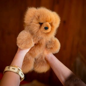 May include: A fluffy, light brown teddy bear with a black nose and small, dark eyes. The plush toy is held up by two hands, with a decorative bracelet visible on one wrist. The bear's fur appears soft and dense, giving it a cuddly appearance.