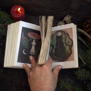 May include: An open book with illustrations of a mushroom and a black cat. The book's pages are thick and aged, with a dark cover. A lit red candle and evergreen branches are in the background, creating a mystical theme.
