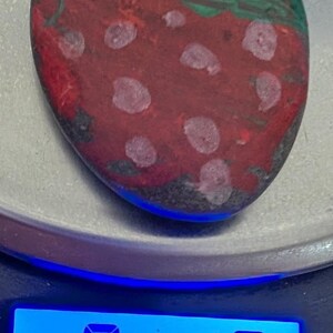 1oz Series - Decorative Hand-Painted Rocks - RockHider.com Strawberry