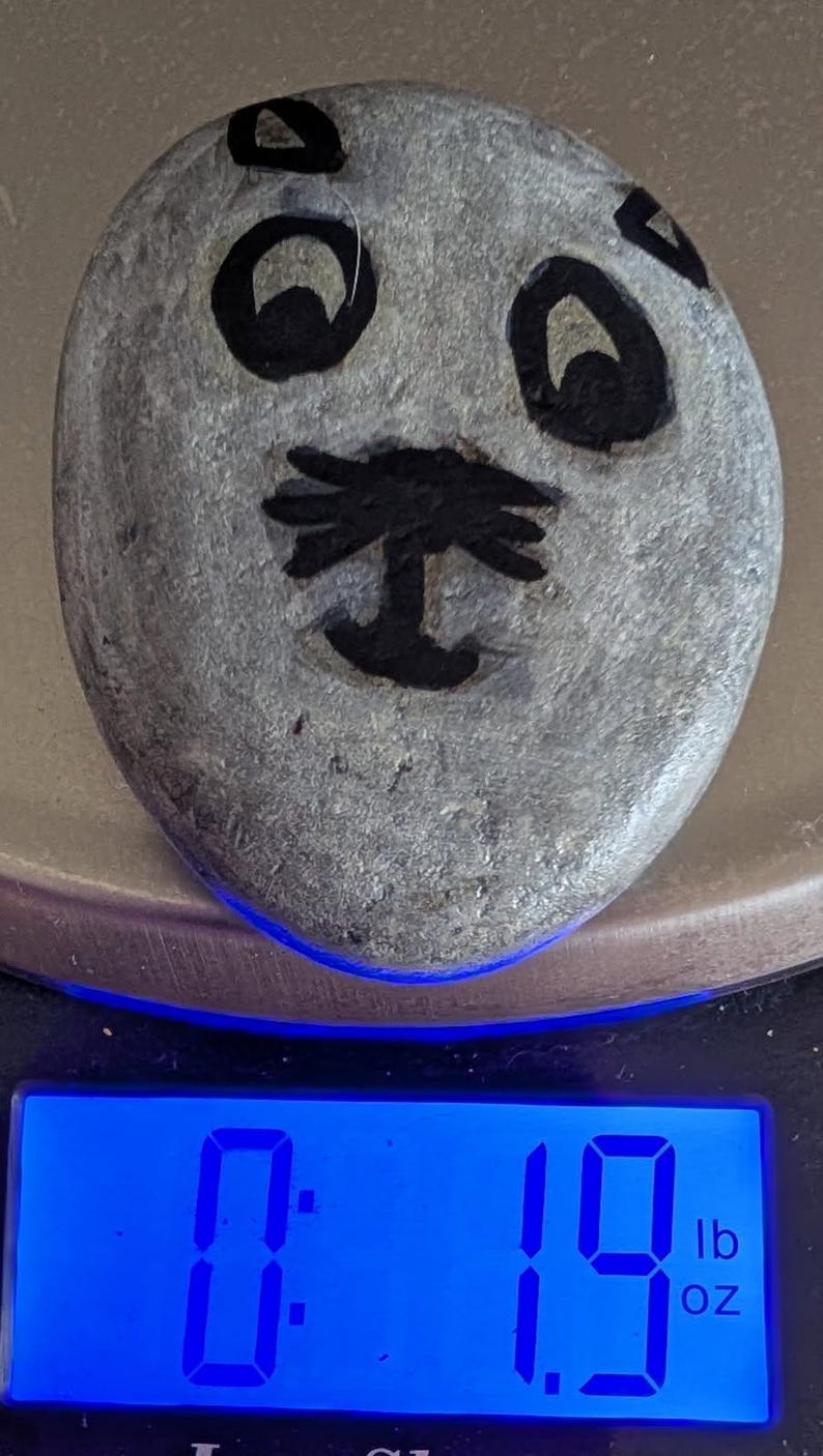 1oz Series - Decorative Hand-Painted Rocks - RockHider.com Kitty