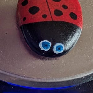 1oz Series - Decorative Hand-Painted Rocks - RockHider.com Bug-Red