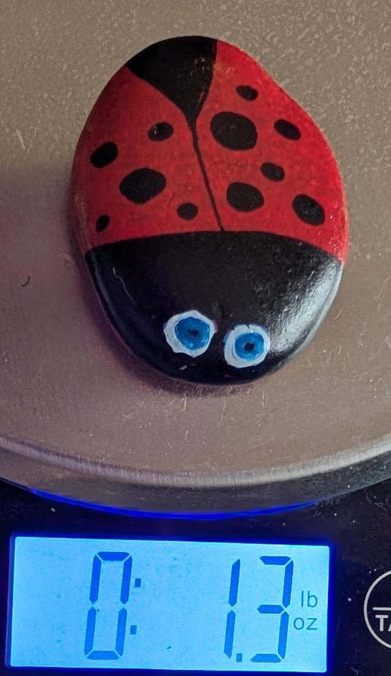 1oz Series - Decorative Hand-Painted Rocks - RockHider.com Bug-Red