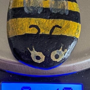 1oz Series - Decorative Hand-Painted Rocks - RockHider.com Bee