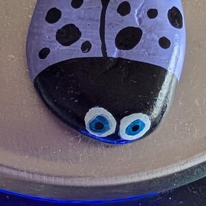 1oz Series - Decorative Hand-Painted Rocks - RockHider.com Bug-Purple