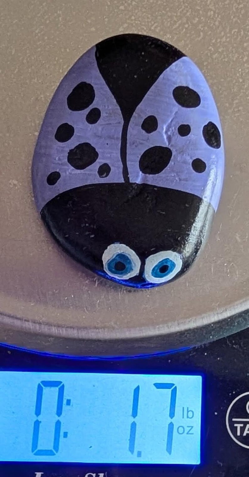 1oz Series - Decorative Hand-Painted Rocks - RockHider.com Bug-Purple