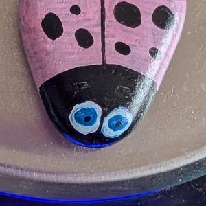 1oz Series - Decorative Hand-Painted Rocks - RockHider.com Bug-Pink