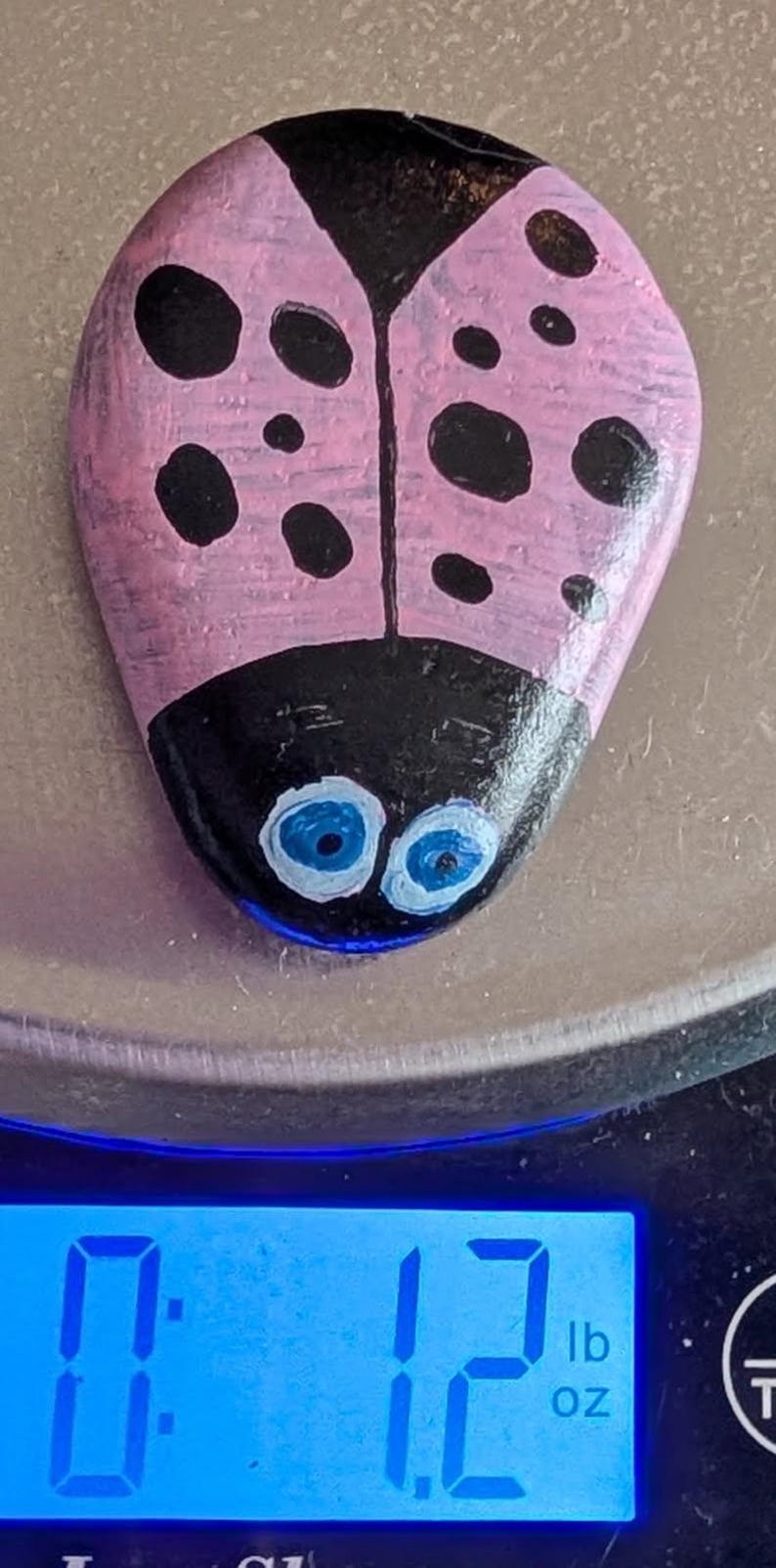 1oz Series - Decorative Hand-Painted Rocks - RockHider.com Bug-Pink