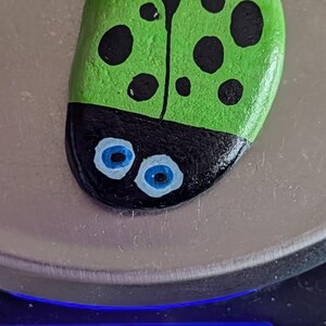 1oz Series - Decorative Hand-Painted Rocks - RockHider.com Bug-Green
