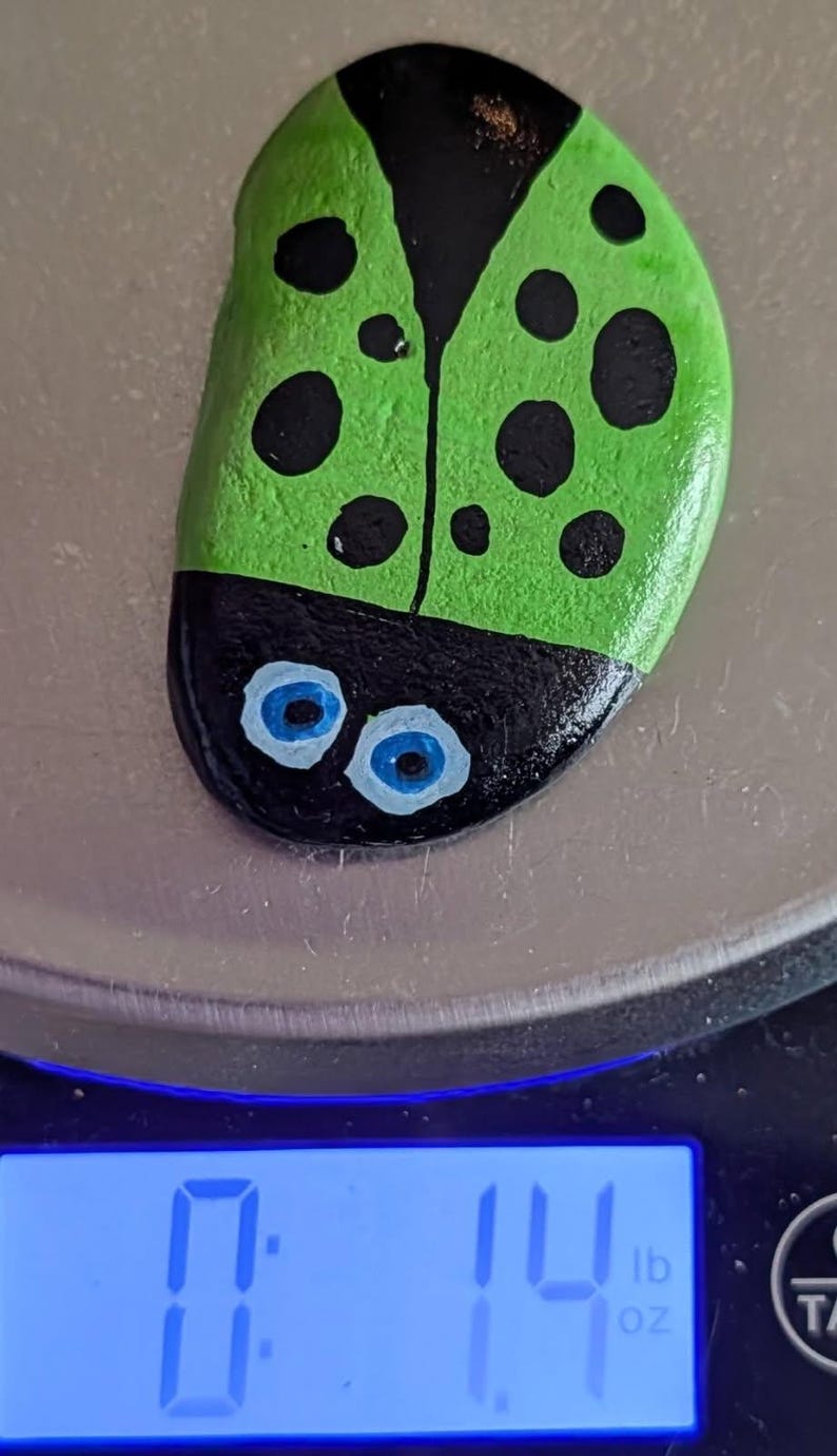 1oz Series - Decorative Hand-Painted Rocks - RockHider.com Bug-Green