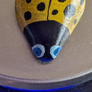 1oz Series - Decorative Hand-Painted Rocks - RockHider.com Bug-Yellow