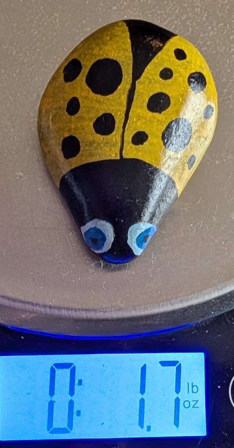 1oz Series - Decorative Hand-Painted Rocks - RockHider.com Bug-Yellow