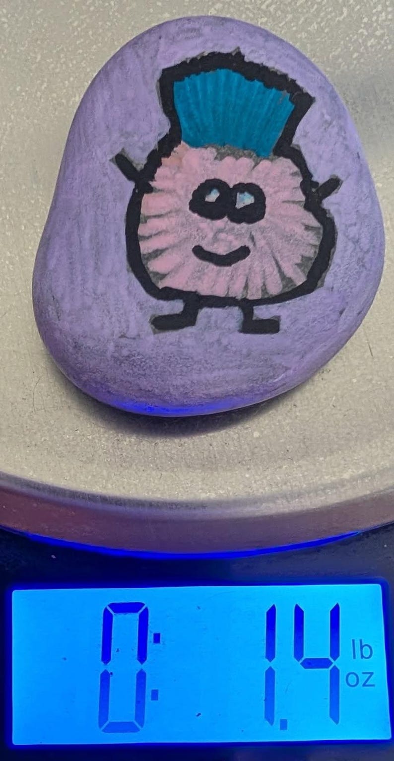 1oz Series - Decorative Hand-Painted Rocks - RockHider.com Pink "Fuzzy"
