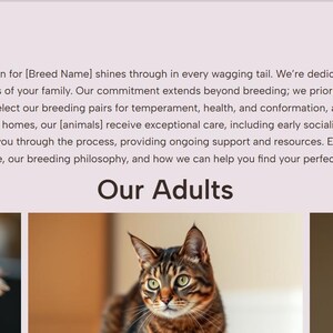 WORDPRESS Breeder Website Pictured