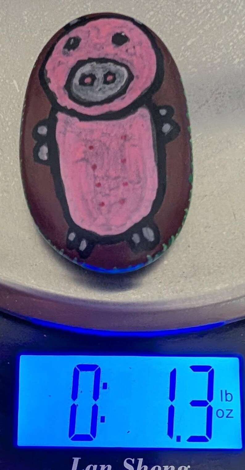 1oz Series - Decorative Hand-Painted Rocks - RockHider.com Piggy