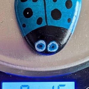 1oz Series - Decorative Hand-Painted Rocks - RockHider.com Bug-Blue