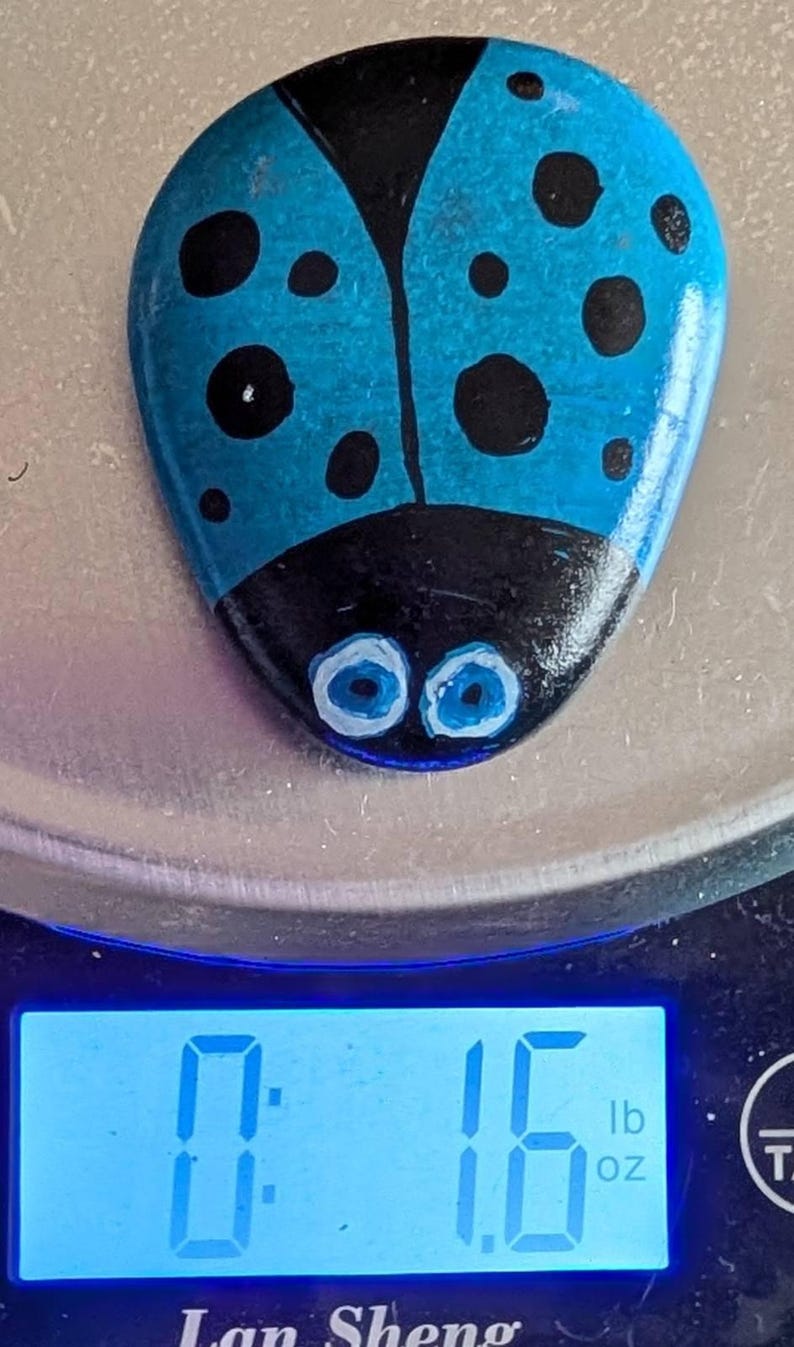 1oz Series - Decorative Hand-Painted Rocks - RockHider.com Bug-Blue