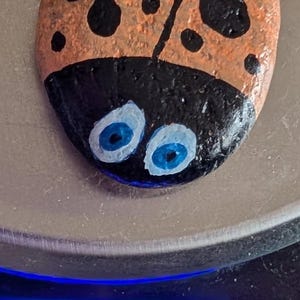 1oz Series - Decorative Hand-Painted Rocks - RockHider.com Bug-Orange