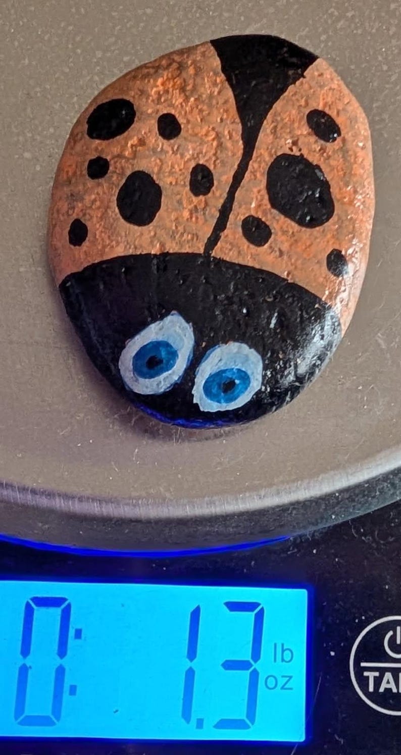 1oz Series - Decorative Hand-Painted Rocks - RockHider.com Bug-Orange