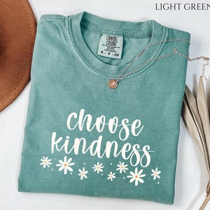 Choose Kindness Teacher Shirt, Teacher Appreciation Gift, Back To School Shirt, Be Kind Shirt, Teacher Shirts, Teacher Team Kindness TShirts