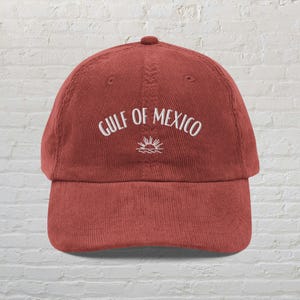 Gulf Of Mexico Hat, Turtle Hat, Anti Trump Hat, Anti MAGA Hat,Gulf Coast Hat, Stay Salty And Resist Hat, Liberal Democrat Hat, Feminist gift