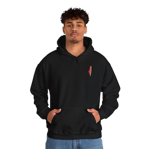 Palestine Hoodie, Free Palestine Sweatshirt, Palestine Flag Crewneck, Stand With Palestine Shirt, Palestine Support Sweater, Save Palestine