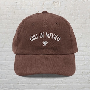 Gulf Of Mexico Hat, Turtle Hat, Anti Trump Hat, Anti MAGA Hat, Gulf Coast Hat, Stay Salty And Resist Hat, Resistance Hat,Democrat Feminist