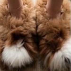 May include: A pair of fluffy, thick-pile slippers in a warm tan brown color, featuring a distinct patch of white fur at the rounded toe area. The slippers have a high-loft, textured appearance and are designed as slip-on footwear for indoor use.