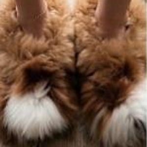 May include: A pair of fluffy, thick-pile slippers in a warm tan brown color, featuring a distinct patch of white fur at the rounded toe area. The slippers have a high-loft, textured appearance and are designed as slip-on footwear for indoor use.