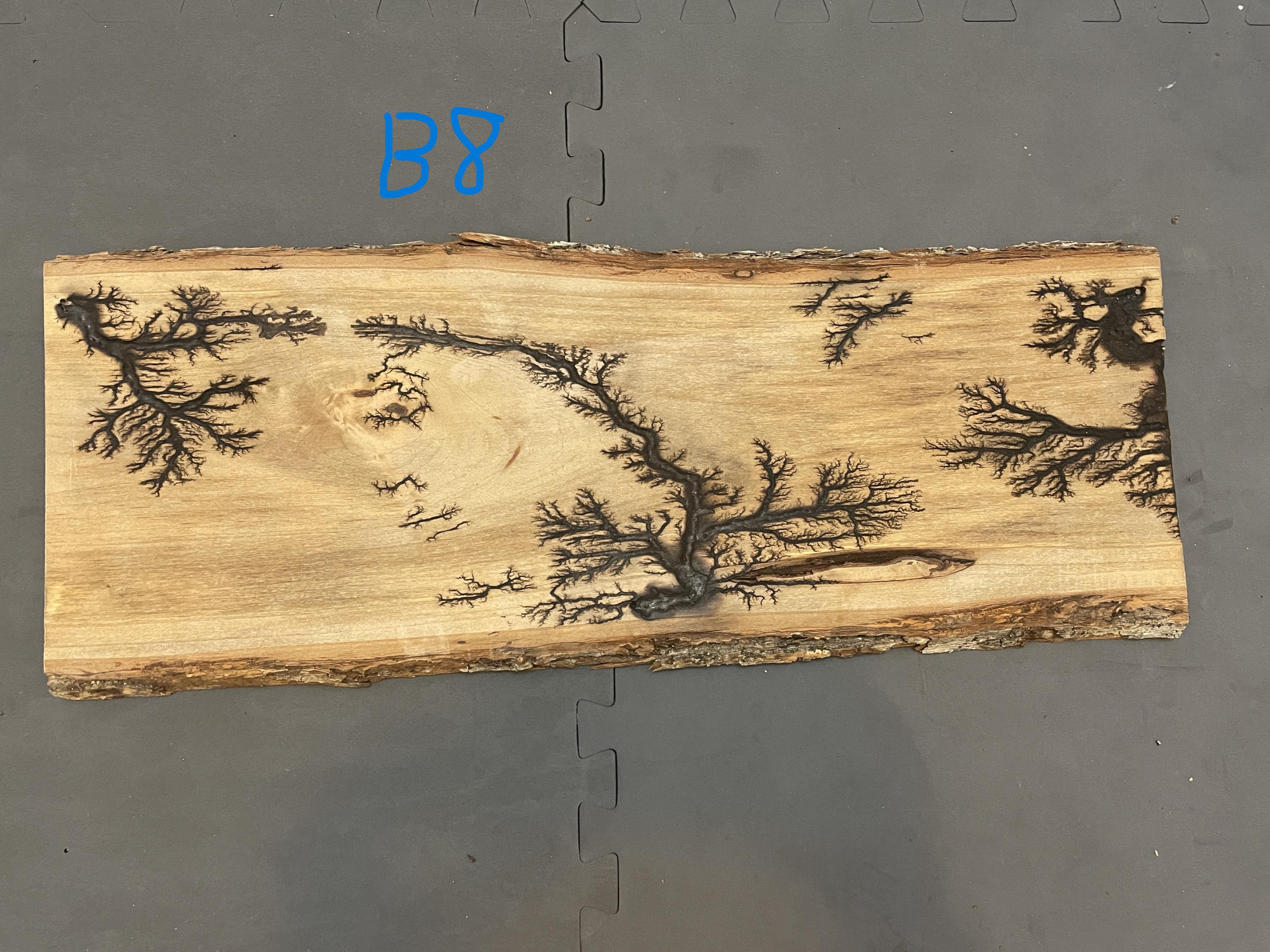 Unique Large Lichtenberg Burning Fractal - Etsy