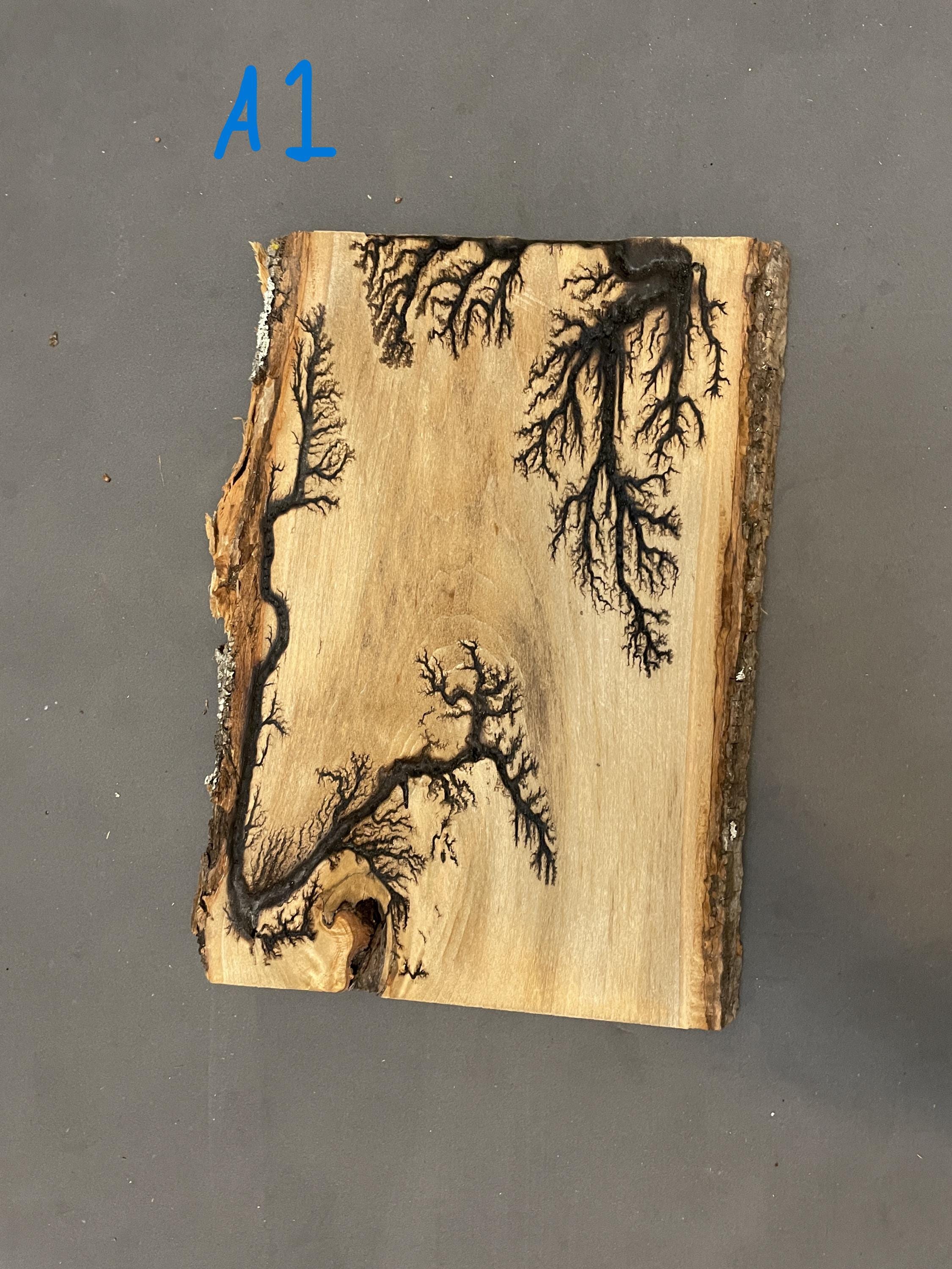 Unique Small Lichtenberg Burning Fractal - Etsy