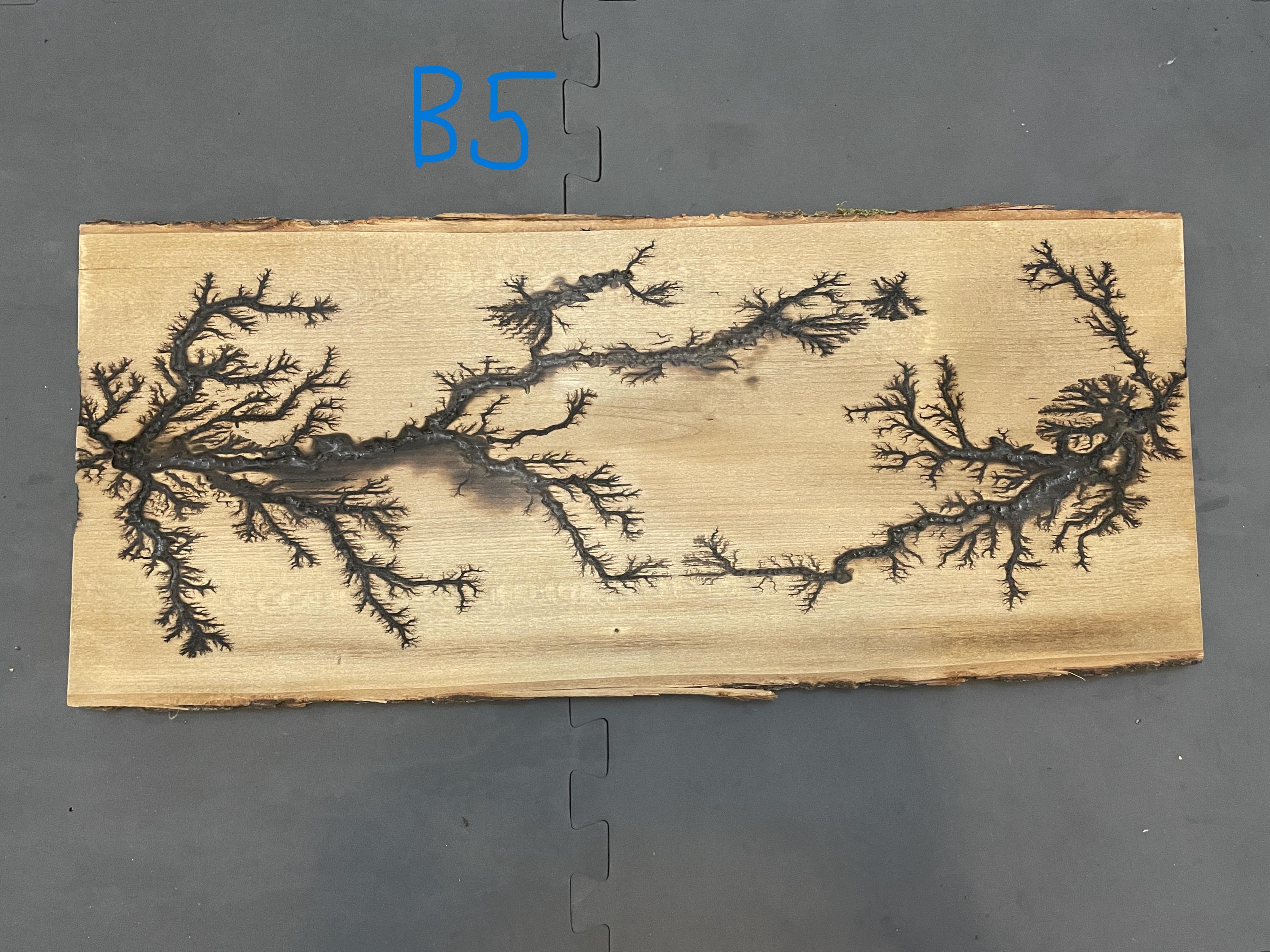 Unique Large Lichtenberg Burning Fractal - Etsy