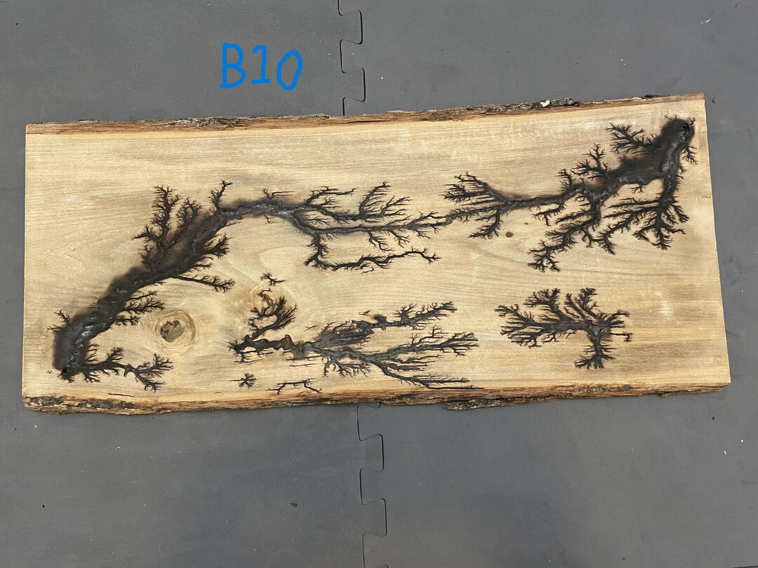 Unique Large Lichtenberg Burning Fractal - Etsy