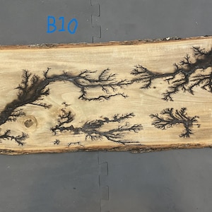 Unique Large Lichtenberg Burning Fractal