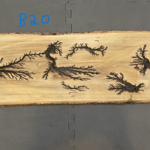 Unique Large Lichtenberg Burning Fractal