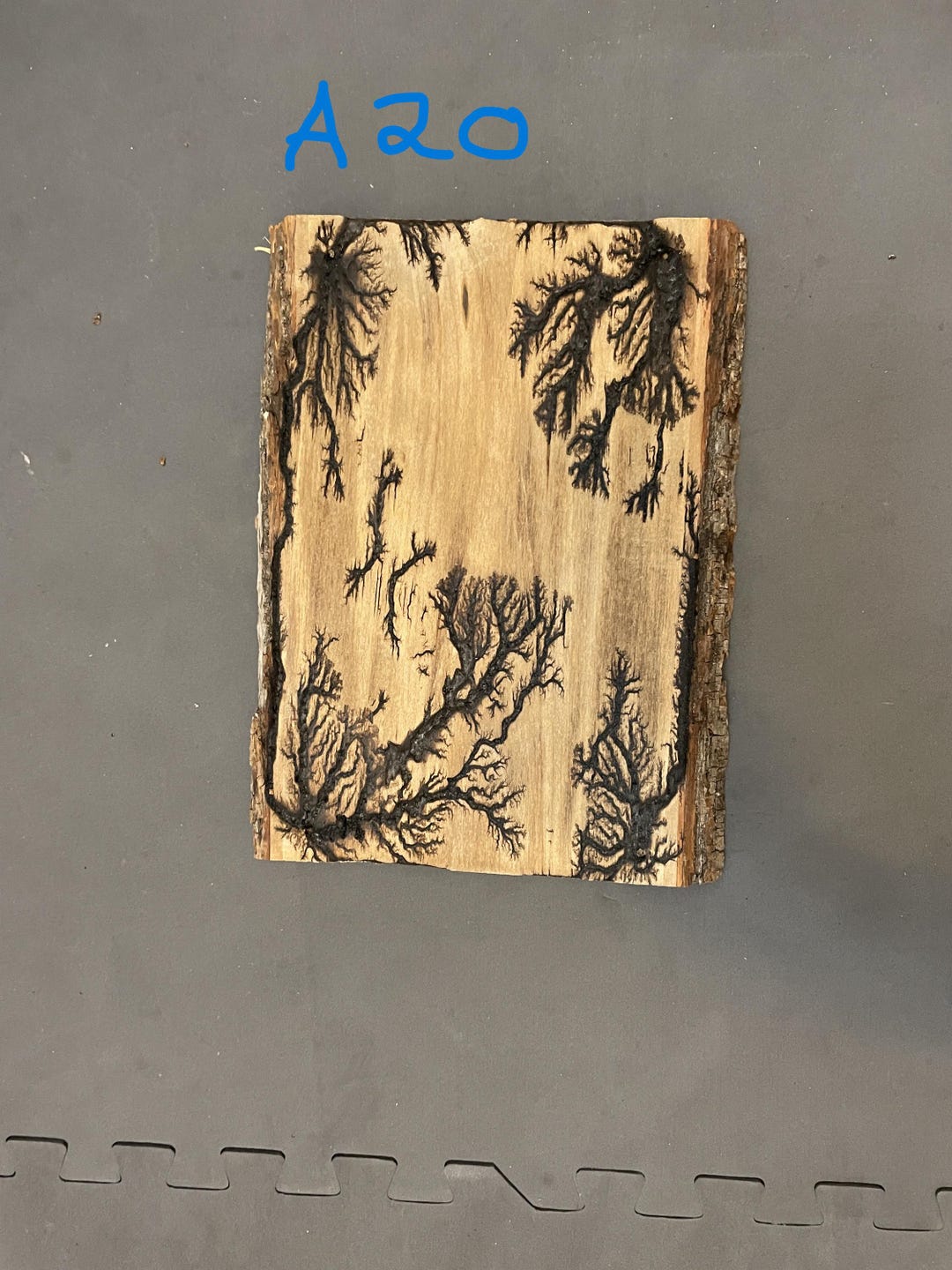 Unique Small Lichtenberg Burning Fractal - Etsy