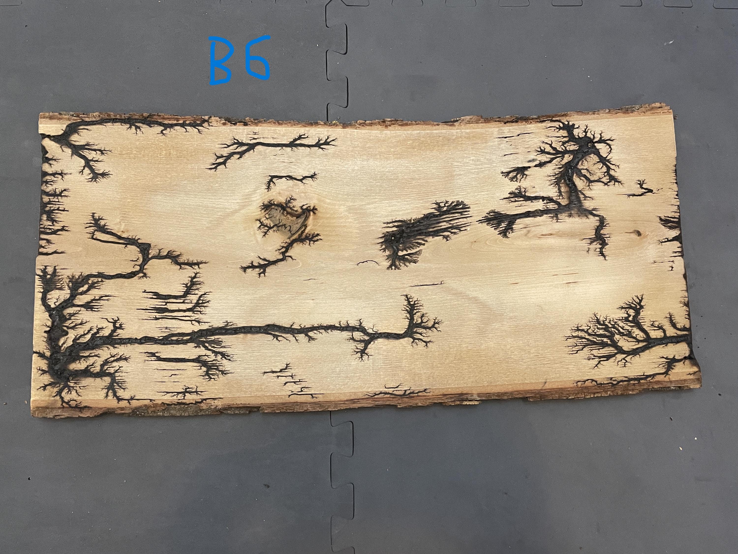Unique Large Lichtenberg Burning Fractal - Etsy