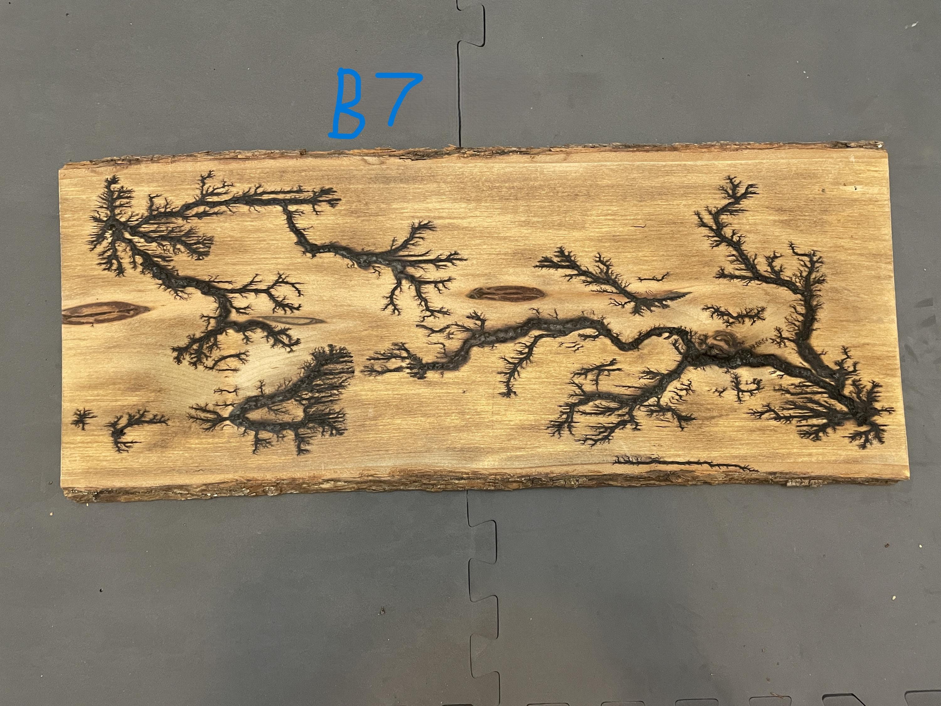 Unique Large Lichtenberg Burning Fractal - Etsy