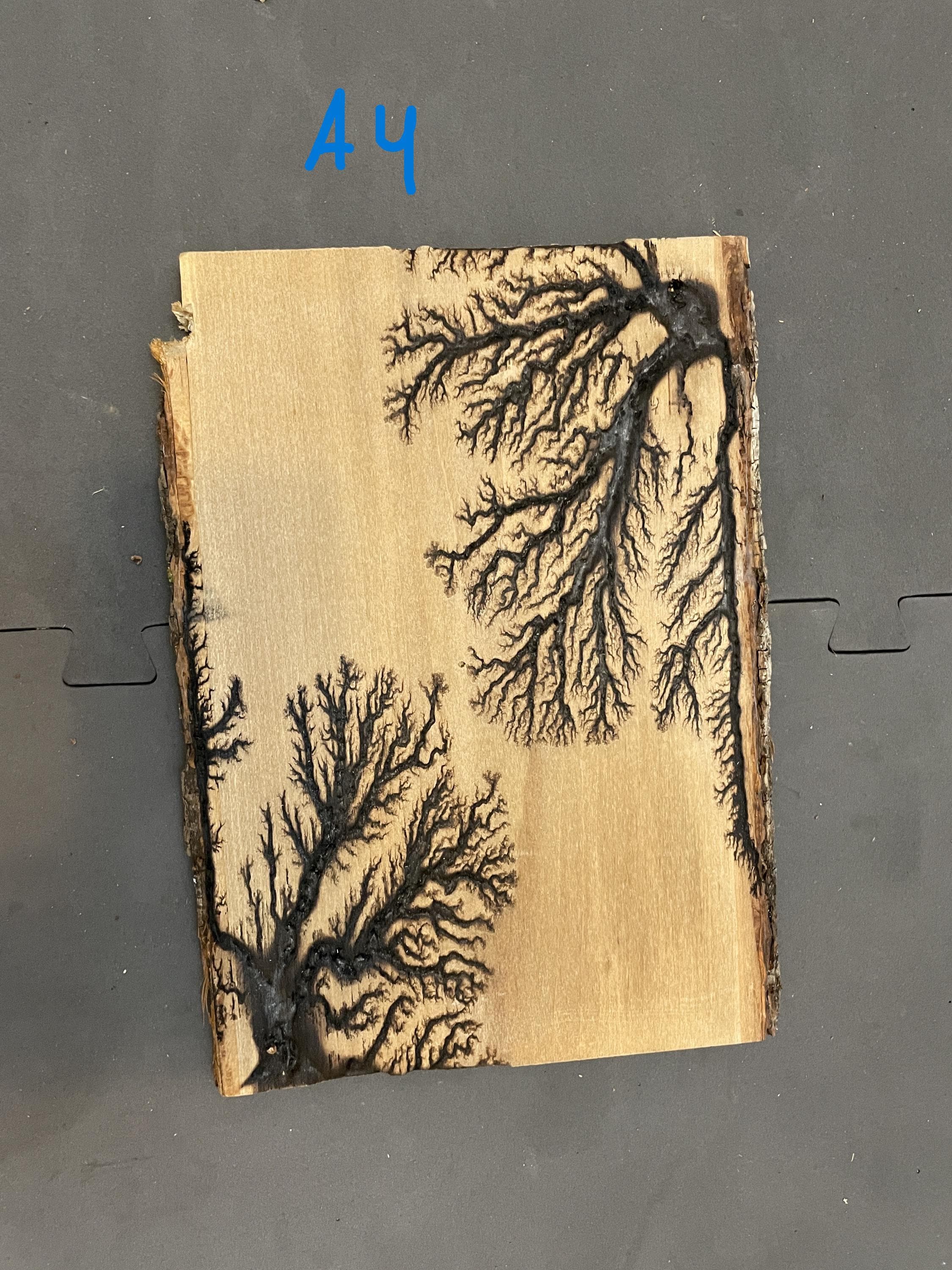 Unique Small Lichtenberg Burning Fractal - Etsy