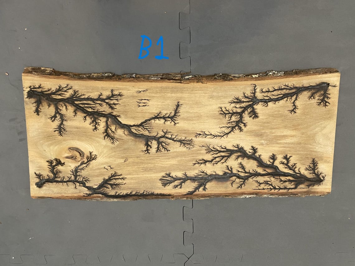 Unique Large Lichtenberg Burning Fractal - Etsy