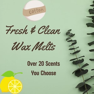 Fresh & Clean Scented Wax Melts/You Choose