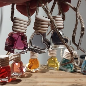 May include: A set of eight heart-shaped glass bottles with wooden tops and twine strings. The bottles are filled with different colored liquids and are arranged in a row.