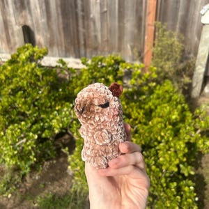 May include: A small, brown, crocheted bear-shaped plush toy with a darker brown ear. The plush toy is held in a hand against a backdrop of green foliage and a wooden fence.