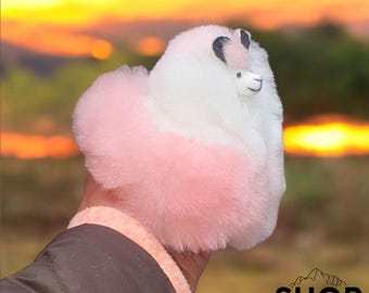 Può includere: Un peluche di alpaca rosa e bianco con occhi neri e naso nero. Il giocattolo è tenuto in una mano contro uno sfondo di tramonto.